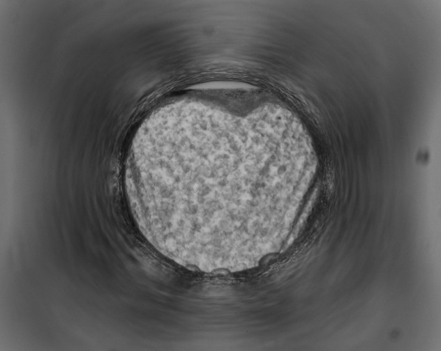 X0000099950964200806201309