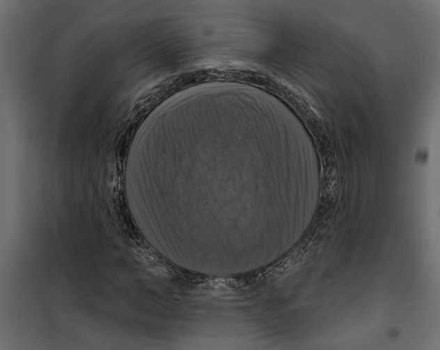 X0000099950966200806201309