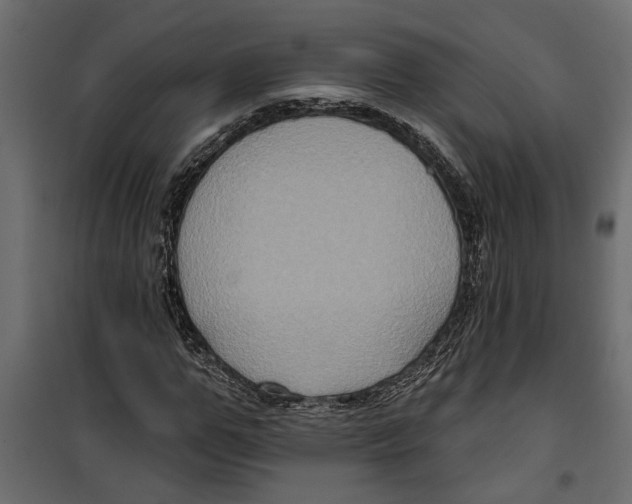X0000099950967200806201309
