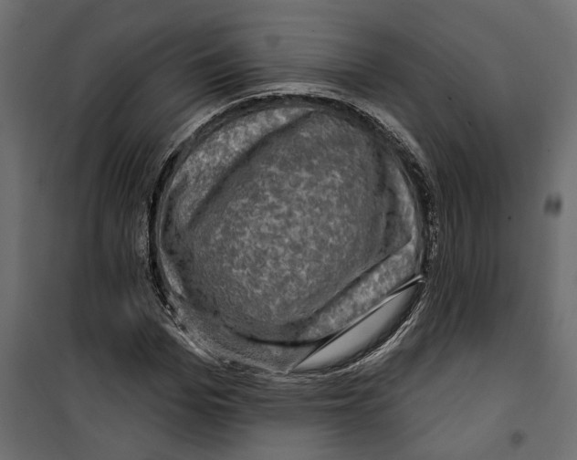 X0000099950969200806201309