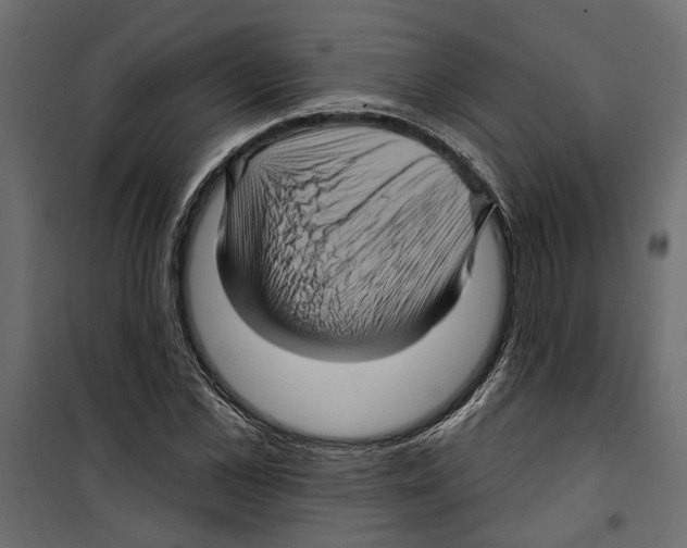 X0000099950973200806201309