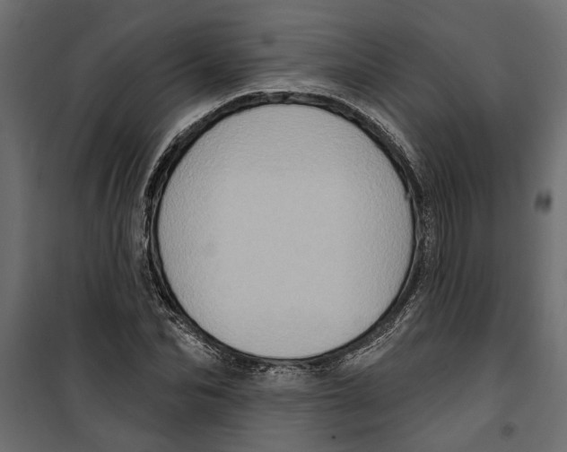 X0000099950974200806201309