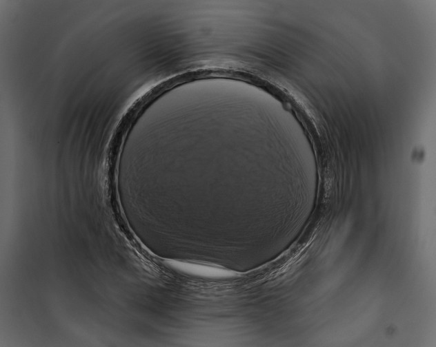 X0000099950975200806201309