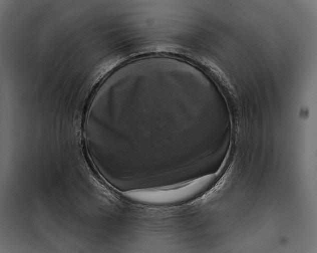 X0000099950977200806201309