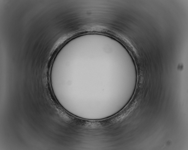X0000099950978200806201309