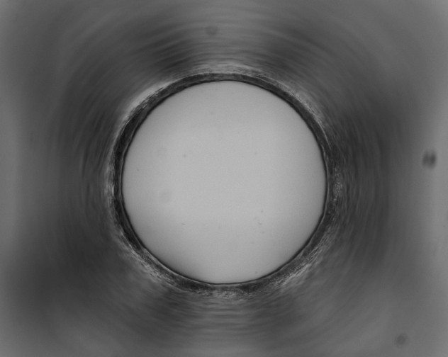 X0000099950979200806201309