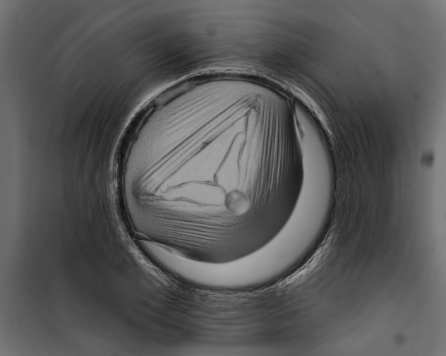 X0000099950981200806201309