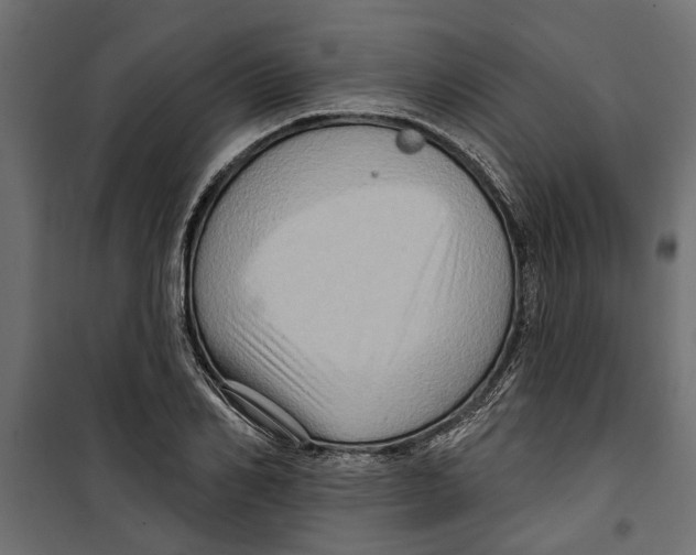 X0000099950982200806201309