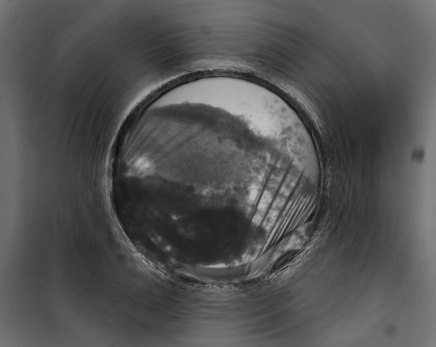 X0000099950983200806201309