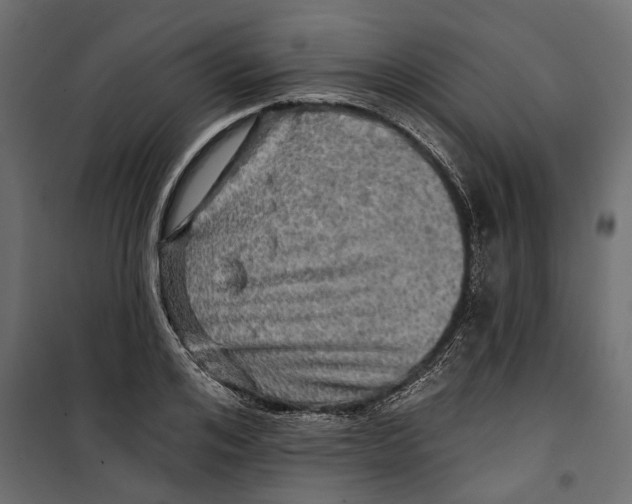 X0000099950984200806201309