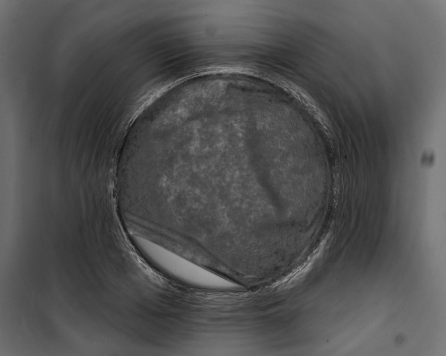 X0000099950985200806201309