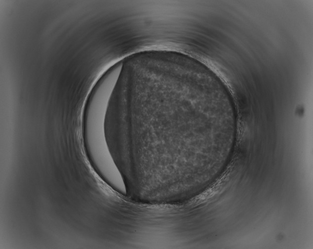 X0000099950988200806201309