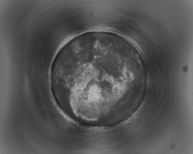 X0000099950990200806201309