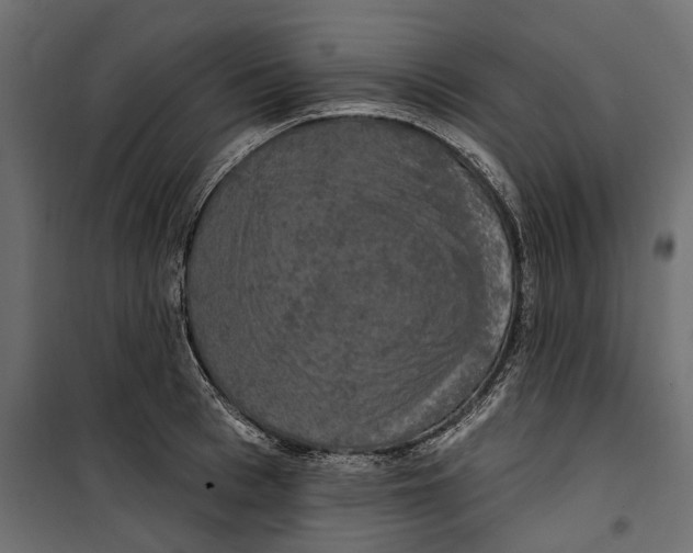 X0000099950993200806201309