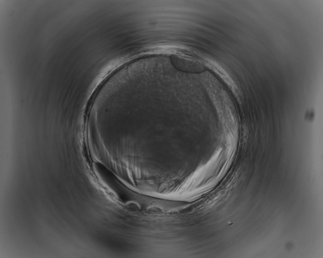 X0000099950994200806201309