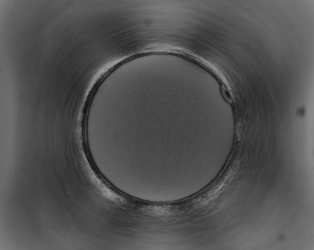 X0000099950995200806201309