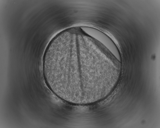 X0000099950996200806201308