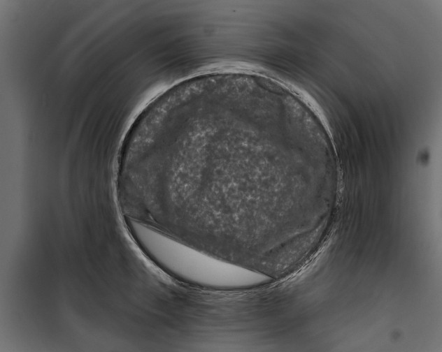 X0000099950997200806201308