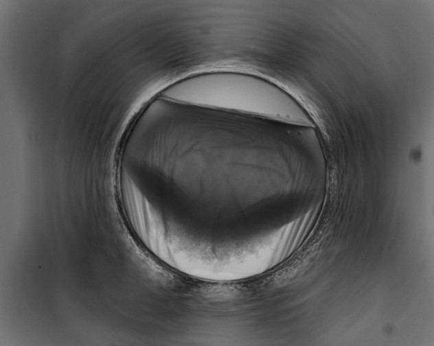 X0000099950998200806201308