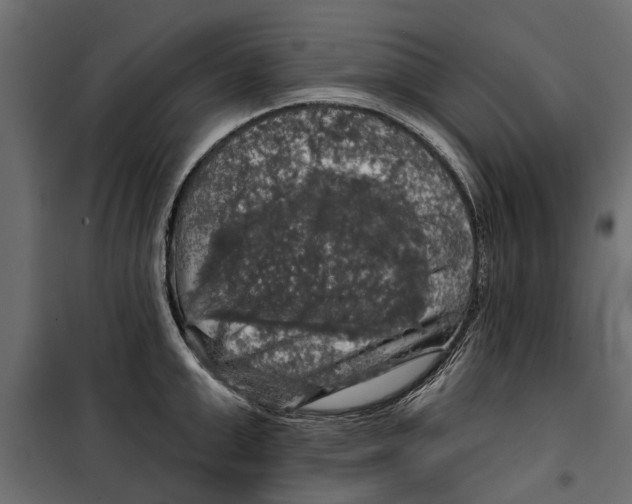 X0000099950999200806201308