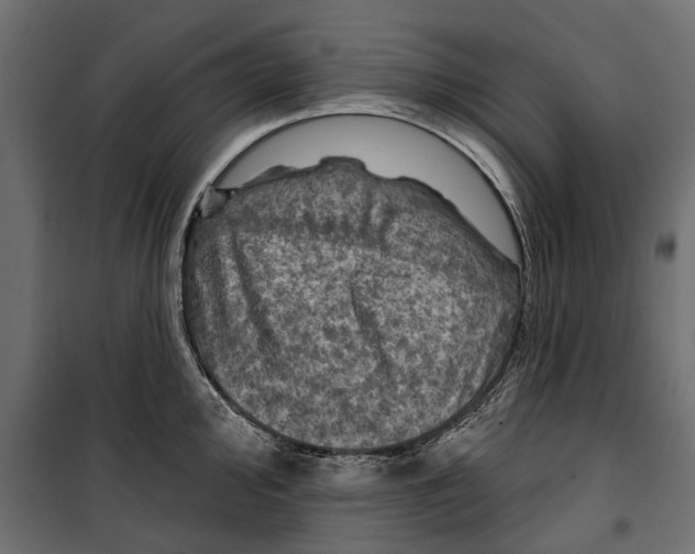 X0000099951000200806201308