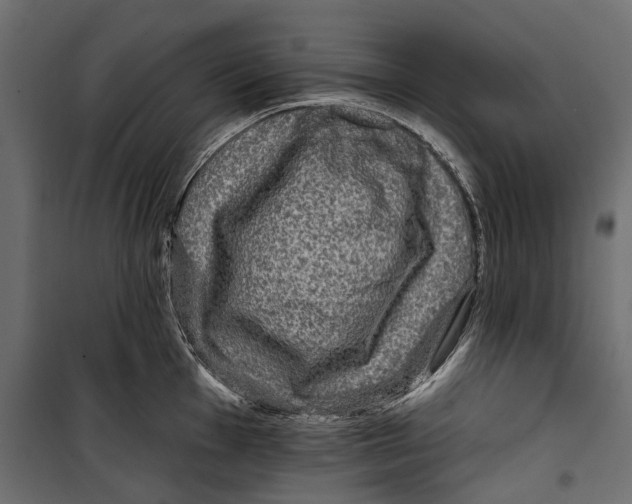 X0000099951001200806201308