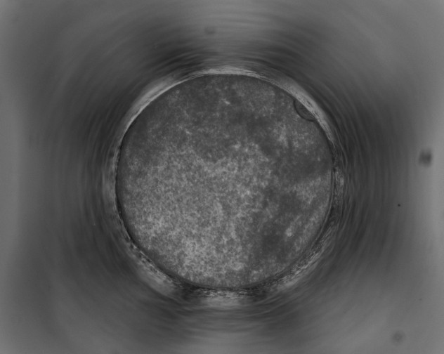 X0000099951002200806201308