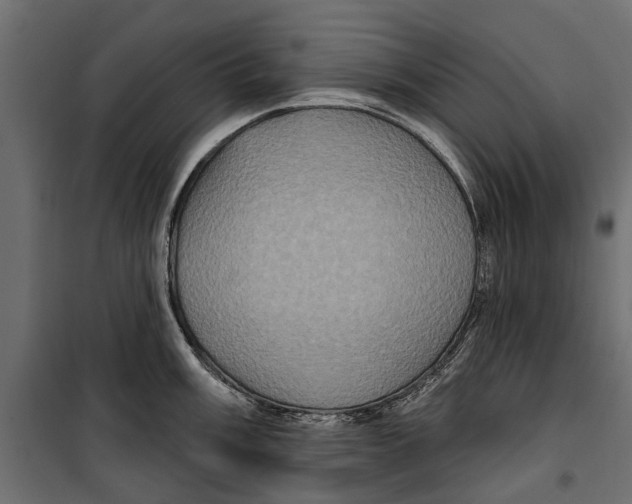 X0000099951003200806201308