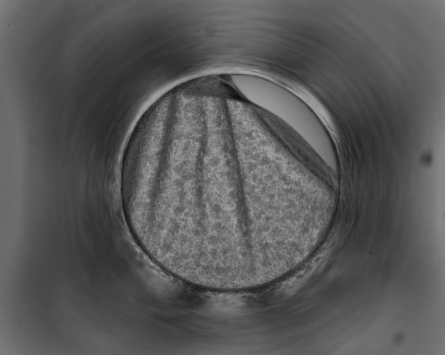 X0000099951004200806201308