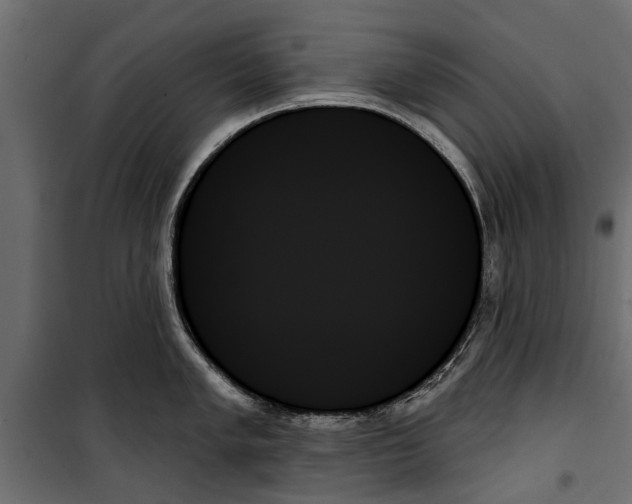 X0000099951005200806201308