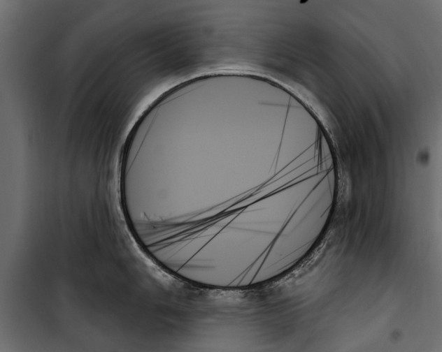 X0000099951006200806201308