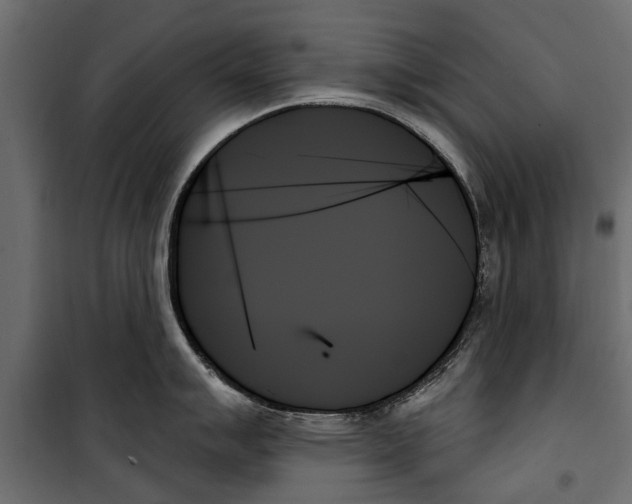 X0000099951007200806201308