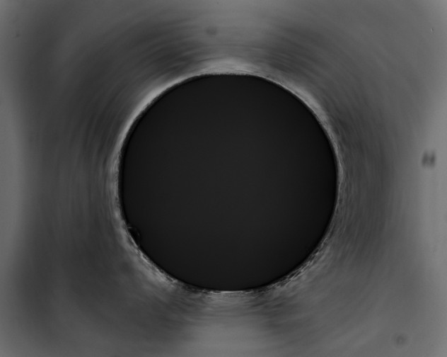X0000099951008200806201308