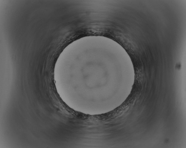 X0000099951009200806201308