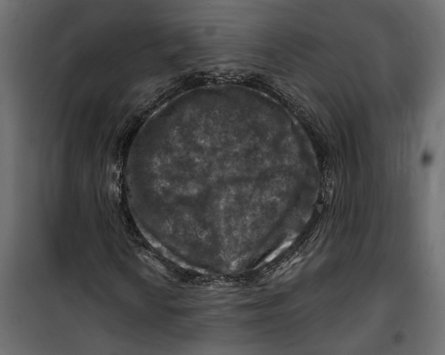 X0000099951010200806201308