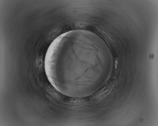 X0000099951011200806201308