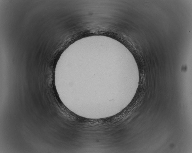 X0000099951012200806201308