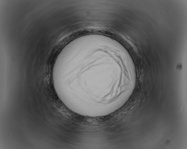 X0000099951015200806201308