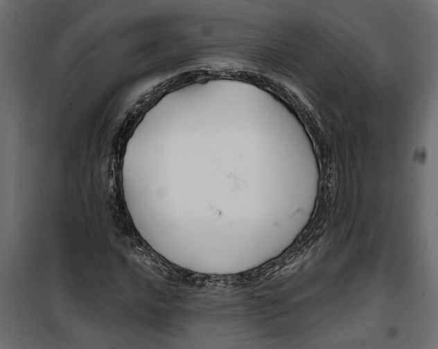 X0000099951016200806201308