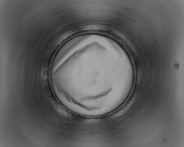 X0000099951017200806201308