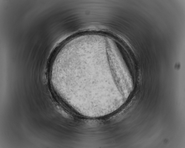 X0000099951018200806201308
