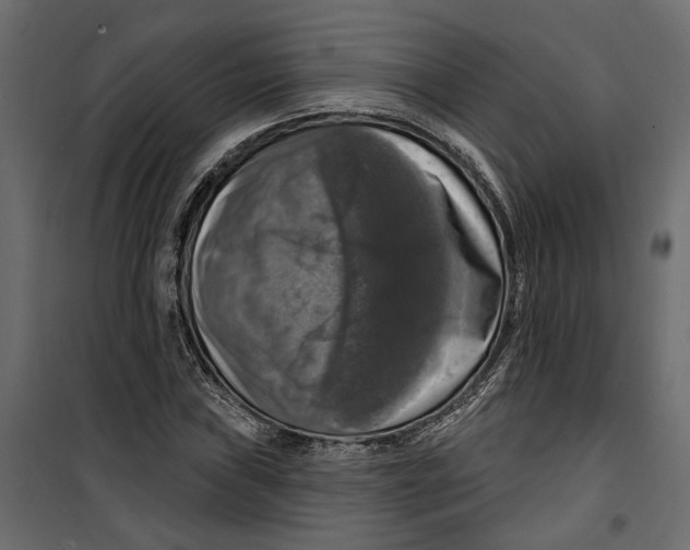 X0000099951019200806201308