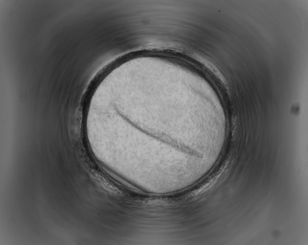 X0000099951021200806201308