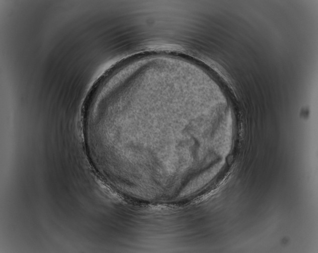 X0000099951022200806201308