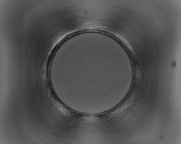X0000099951023200806201308