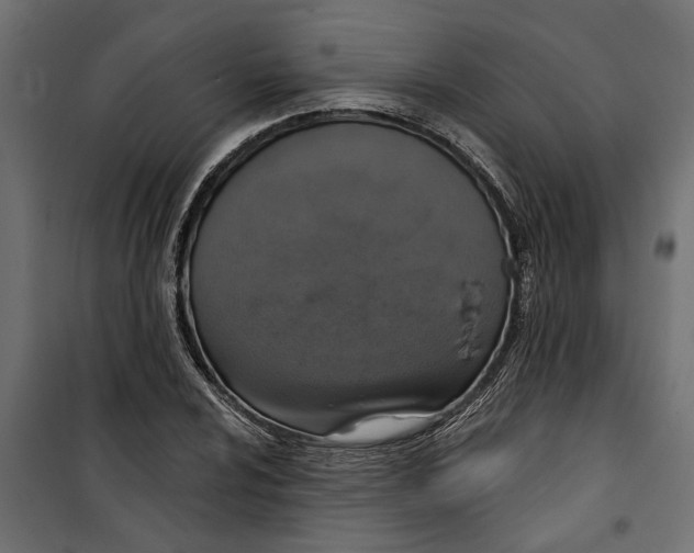 X0000099951024200806201308
