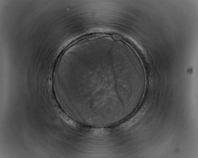 X0000099951025200806201308
