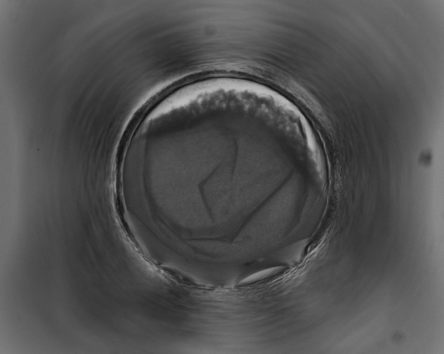 X0000099951028200806201308