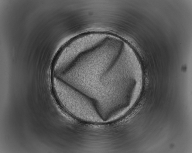 X0000099951030200806201308
