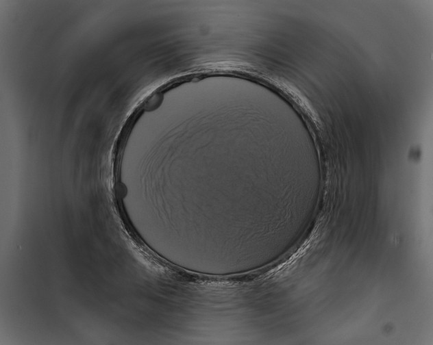 X0000099951031200806201308